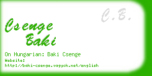csenge baki business card